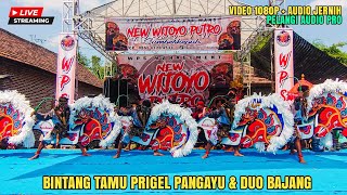 Live New Wijoyo Putro Tempel Ngerongot Nganjuk Ft Pelangi Pro (2)