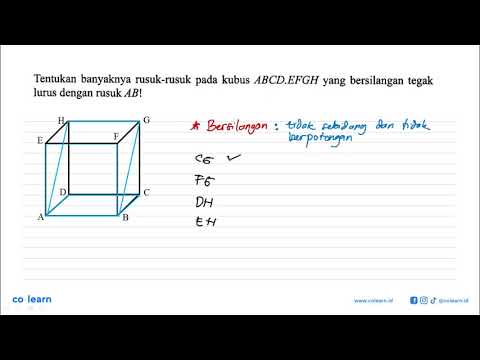 Rusuk Rusuk Tegak