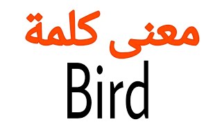 معنى كلمة Bird | الصحيح لكلمة Bird | المعنى العربي ل Bird | كيف تكتب كلمة Bird