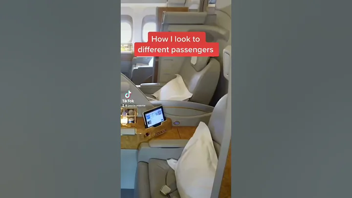 HOW A FLIGHT ATTENDANT LOOKS AT DIFFERENT PASSENGERS 😬 - DayDayNews