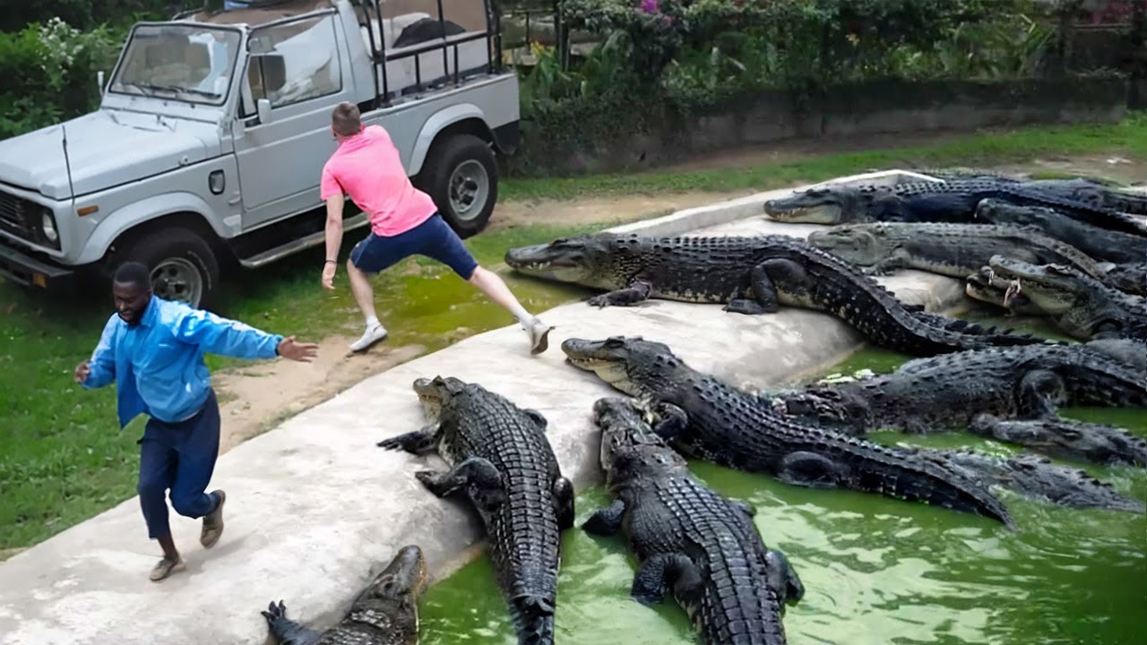 60 INCREÍBLES MOMENTOS EN LOS SAFARIS CAPTADOS POR LAS CÁMARAS