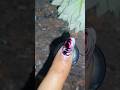 ✨📌Easy nail art without tools 📌 at home 🏡🏡 #shortvideo #simplenails #nailart #ytshorts