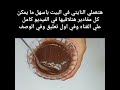 نايتي بيتي نايتي حلويات 
