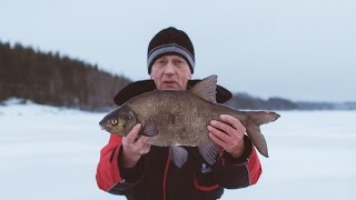 Бешеный клёв. Онлайн трансляция. Ловля подлещика/леща. Макароны в деле. Часть 1.