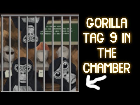 Gorilla tag 9 in the chamber (on the oculus quest 2)