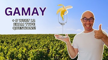 Gamay for WSET Level 2 in Wines (+10 WSET exam type questions)