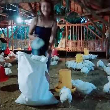 Story wa istri idaman