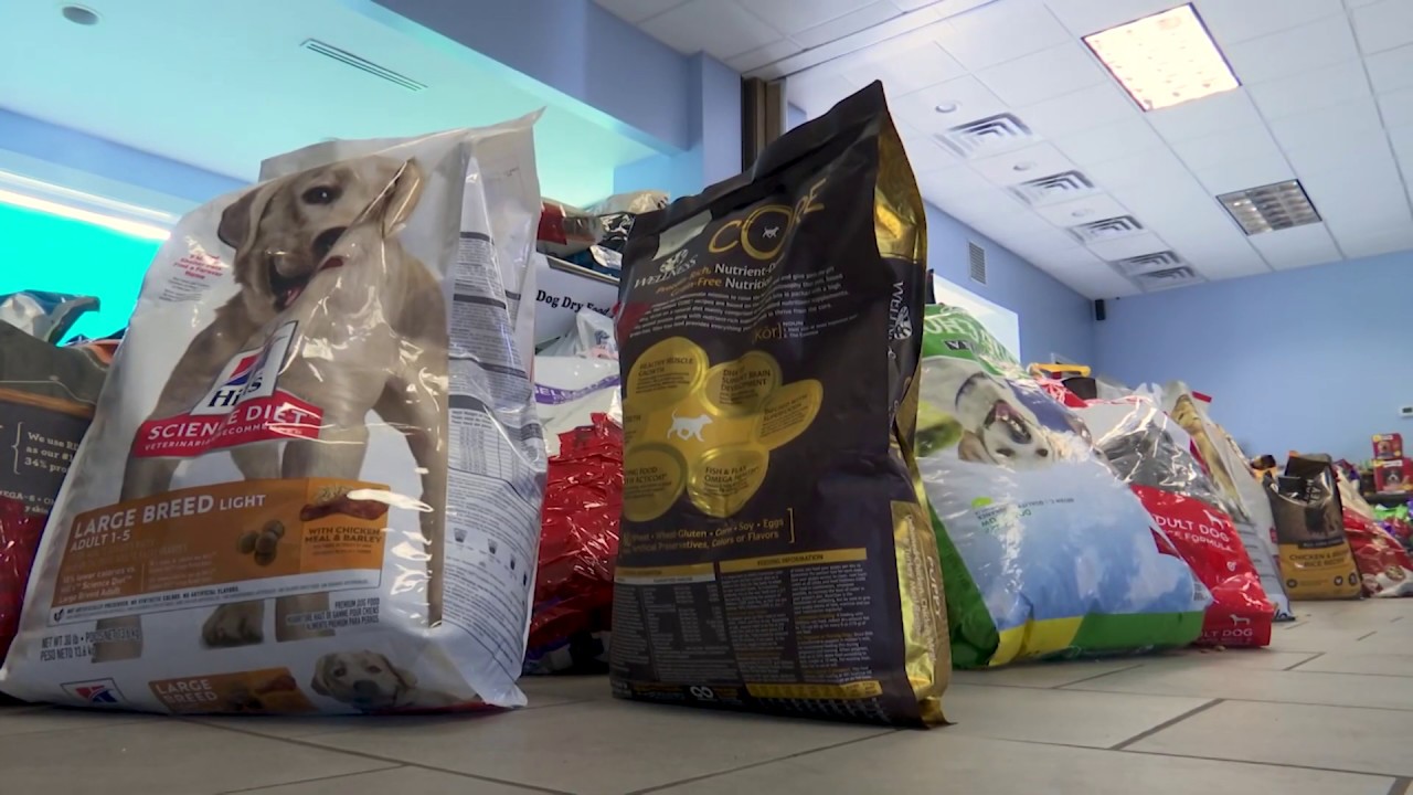DriveThru Pet Food Bank for Families Facing Hardship During the