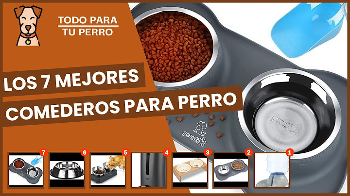 Los 7 mejores comederos para perro