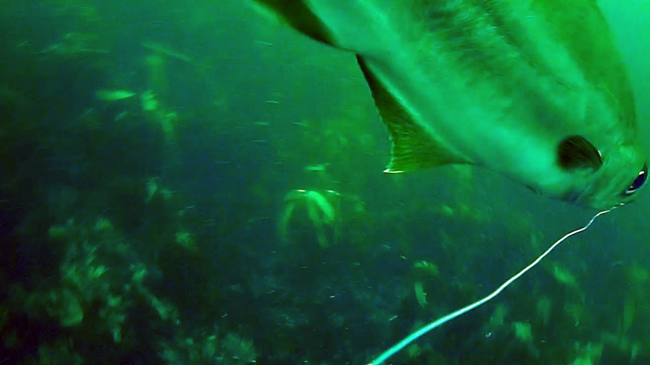 How To Setup A Fishing Camera - YouTube