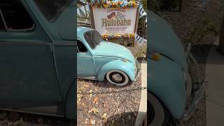 Cool Vintage VW Beetle 🪲