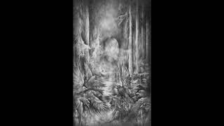 Starlit Woods — Zamarznięte Cienie Nocy (Full Album)