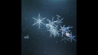 Meydän - Snow Falling Upwards | [LAppel du Froid]