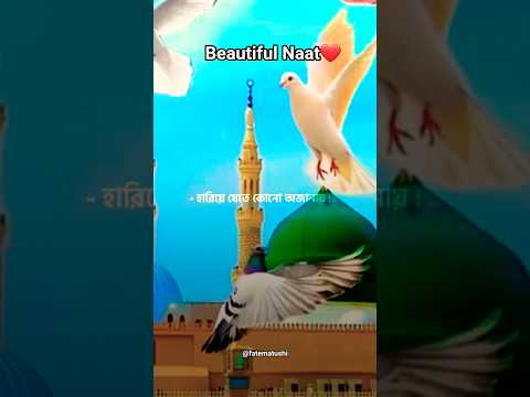 Beautiful Naat Islamicshortsvideo Exploreislam Youtubeshorts Viral 