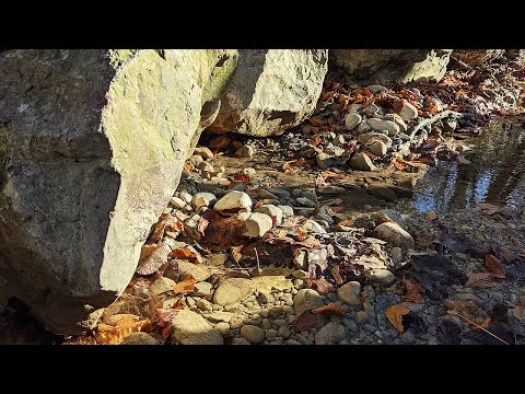 Madih Adam Ali Sabyan Badrud Dayaji