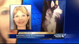 Missing dog euthanized at accused kidnapper's home
