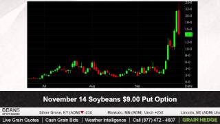 GrainTV - September 29th, 2014