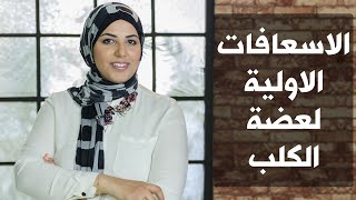 الاسعافات الاولية لعضة الكلب