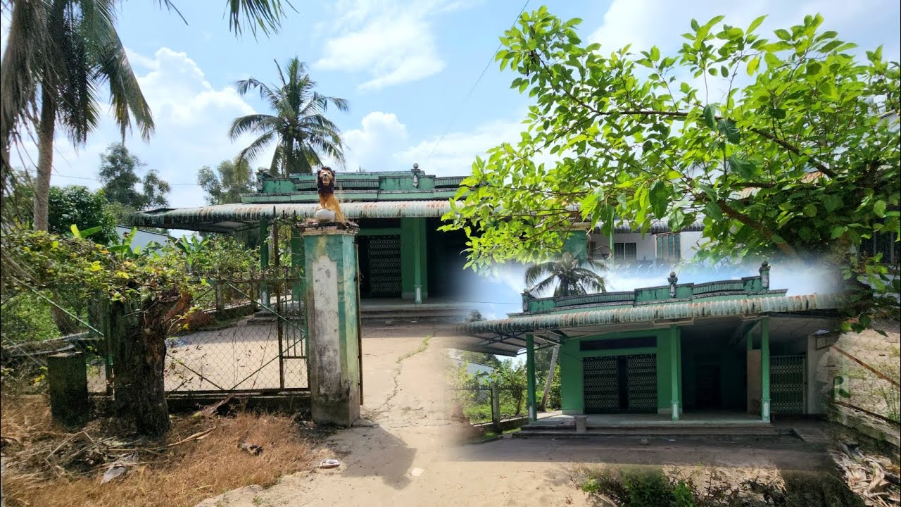 Hai ngôi nhà giàu trong vườn bỏ hoang ai thấy cũng bất ngờ