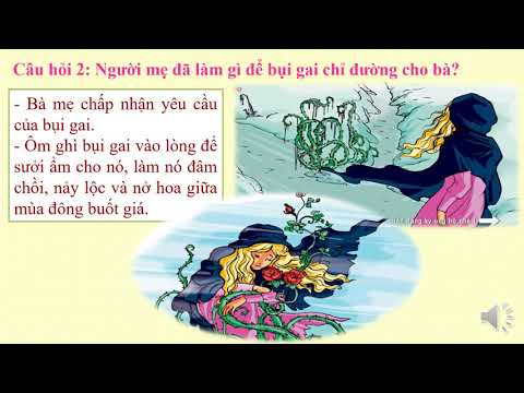 Tập đọc - Kể Chuyện: Người mẹ