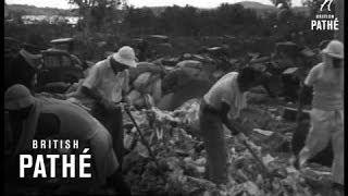 Indonesia - After War Scenes (1945)