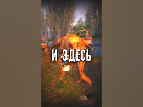 Мутанты захватили зону в Сталкер Тень Чернобыля #Shorts - YouTube