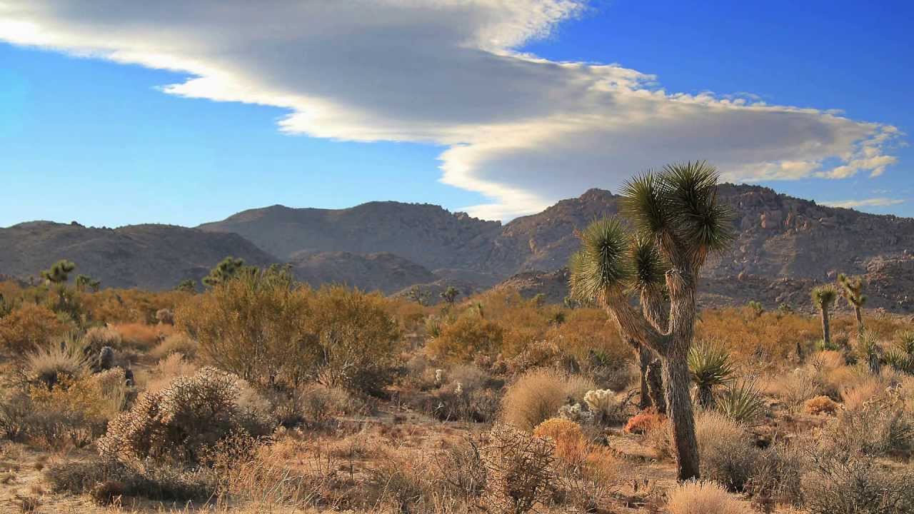 Death Valley, Mojave Desert and Joshua Tree YouTube