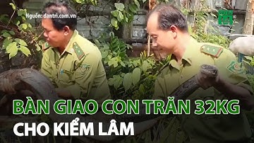 Người dân TP.HCM bàn giao con trăn 32kg cho kiểm lâm | VTC14