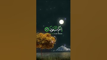 📖سورة الدخان 🎙️اسلام صبحي