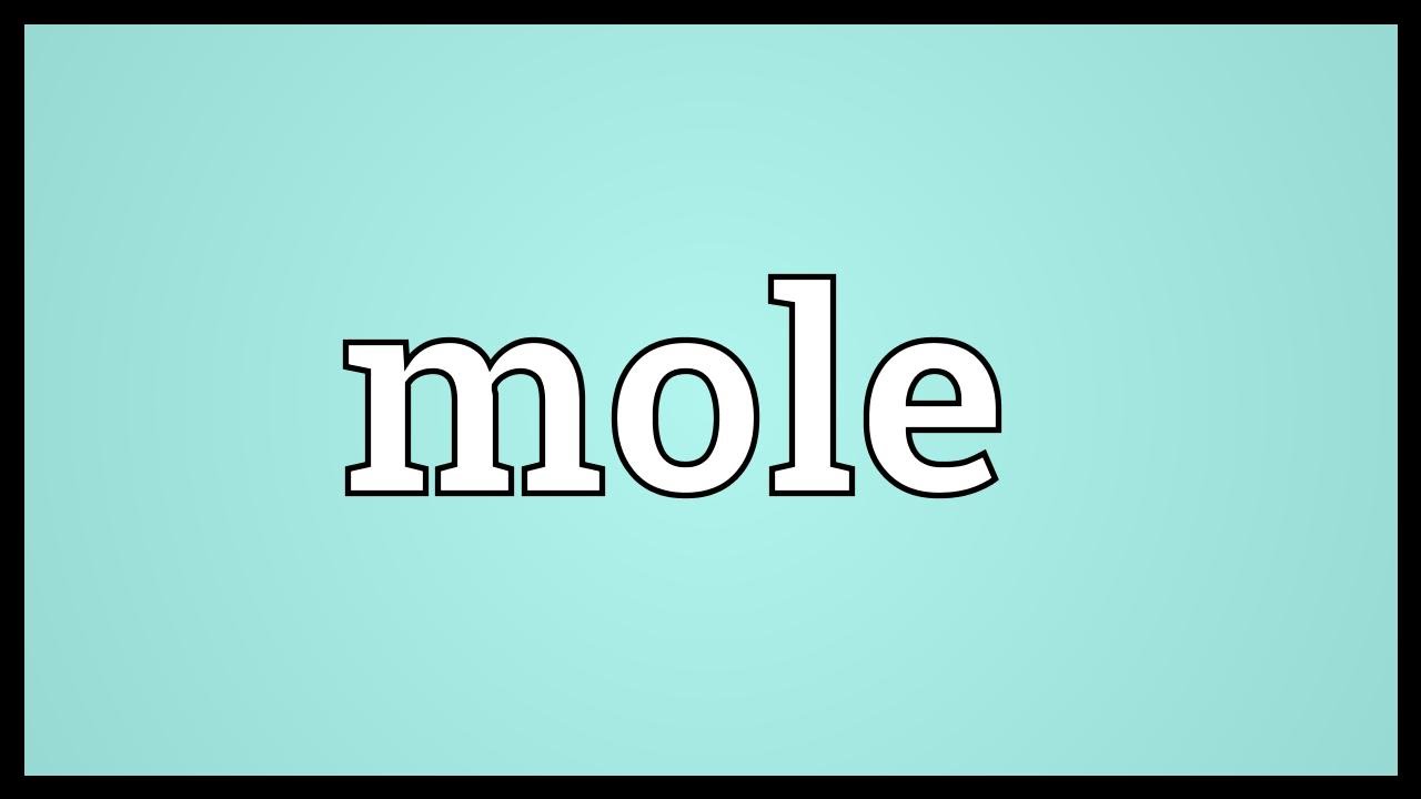 Mole Meaning YouTube