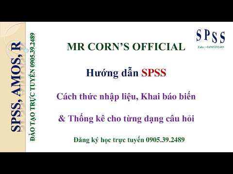 Video: Làm cách nào để bạn nhập các biến trong SPSS?