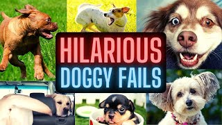 🤣🐶💖 Hilarious Dog Fails Videos Compilation 2021 | Try Not to Laugh | Cute and Funny Animals