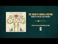 The Sound of Animals Fighting "Horses In The Sky (Live Version)"