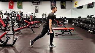DB Alternating Reverse Lunge - Exercise Library