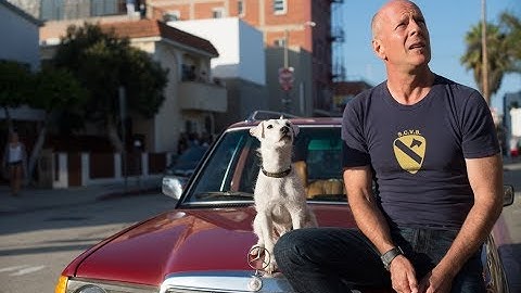 Once Upon a Time in Venice (2017)