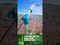 setting sprinkler irrigation, yuzuak JET 50 Rain gun#kilimo #sprinkler #irrigation #tast #tasty#farm