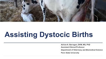 Assisting Dystocia Births