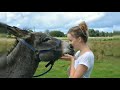 Girl And Donkey 9 Girls Love Donkeys गध स प य र करन व ल 9 लड क य Animals Lover