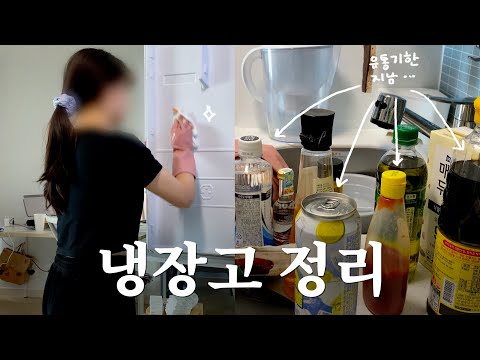 채우고 비우고.. 인간은 같은 실수를 반복한다.. 냉장고 정리 방법 소개