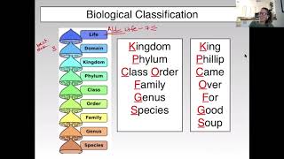Ch  26 Classificaiton & Phylogenetic Trees