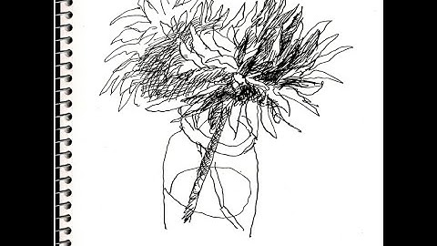 Drawing with Fountain Pens: Pilot Custom 912 with Flexible Nib Factory Feed