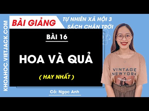 Video Tự nhiên xã hội lớp 3 - Bài 16 - Hoa và quả - trang... - YouTube