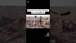 P R O B L E M Fighting For His Poop Funny Videos