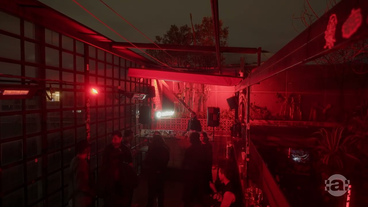 Pecqeo at Videoclub