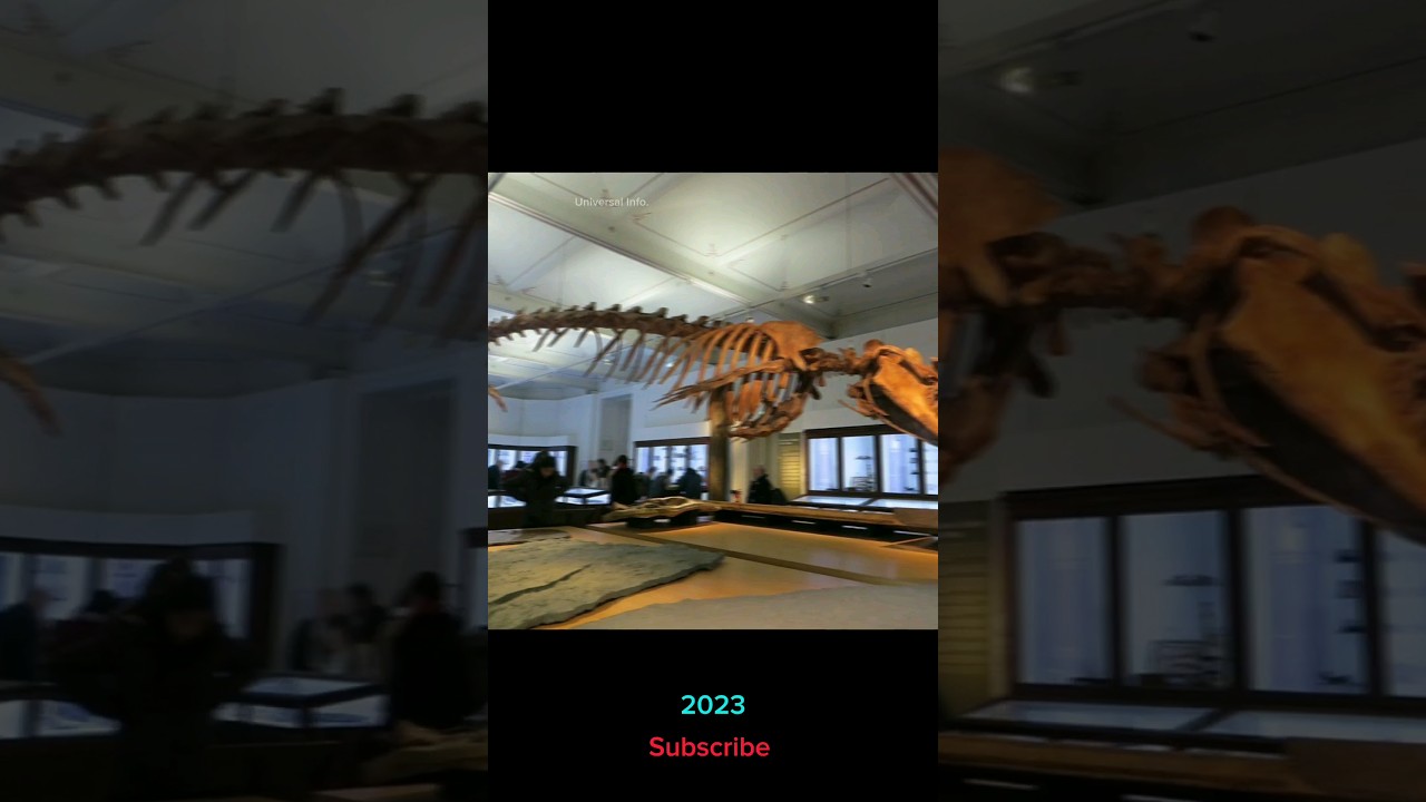 Basilosaurus 2023 vs 10000bce years ago 