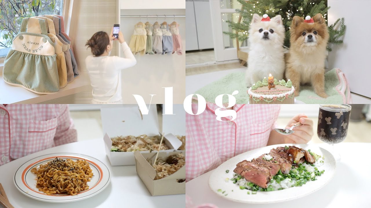 집순이의 집콕 크리스마스🎄& 강아지생일파티, 스테이크솥밥 만들기, 미뉴트빠삐용, 촬영day📸 ) | 마지막 2022 일상 브이로그