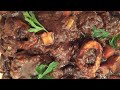 DELICIOUS OSSO BUCO - Beef Shanks In Red Wine  #ossobucorecipe #gastroguru