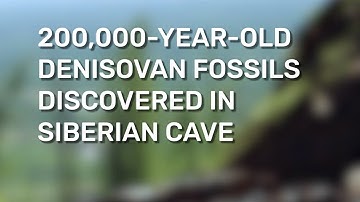 200,000 Year Old Denisovan Fossils Discovered In Siberian Cave