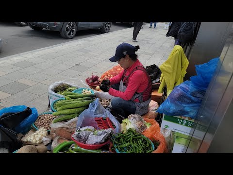 태백 황지시장 노점 <strong>여사장님</strong> 이야기영감이 고추를 물러달라 했다 하시네
