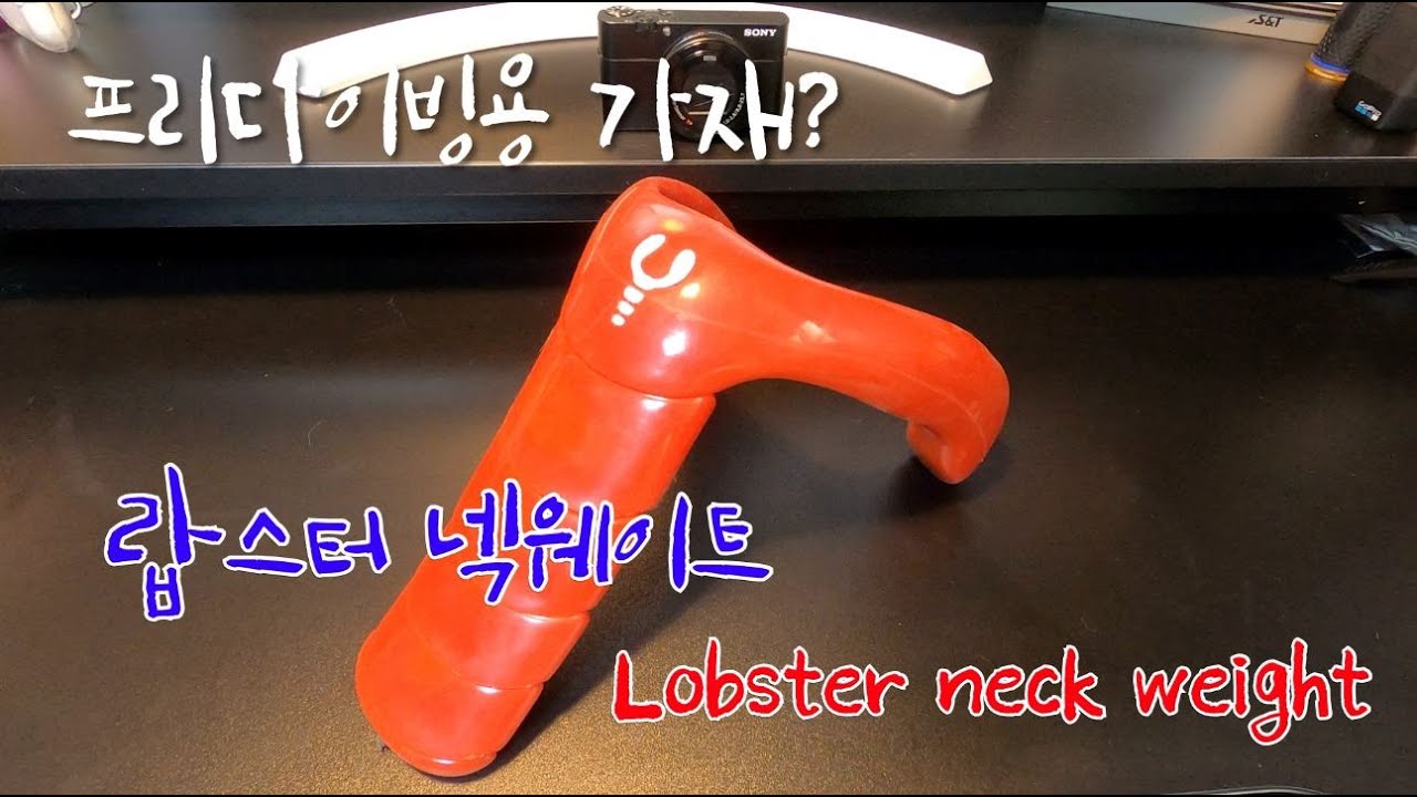 프리다이빙계의 가재? 랍스터 넥웨이트 - YouTube